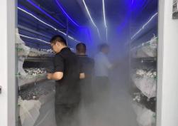 Smart Mushroom House interior - automated climate control and mushroom growing racks